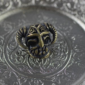 May include: A small, detailed, brass skull charm with horns and intricate designs. The skull is black with gold accents.