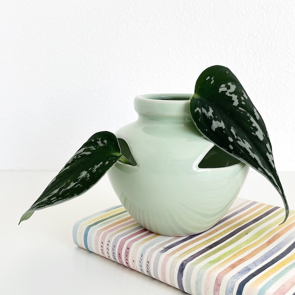 Celadon Green Vintage Small Ceramic Planter Pot with Oblong Cutouts and Drainage, Unique Pastel Aqua Glazed Indoor Plant Pot