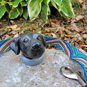 May include: A dark brown dog head sculpture with a gray base, resting on a rock. A colorful blue, orange, and yellow patterned dog leash and a silver metal clasp are visible.