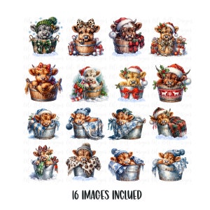 16 Christmas Highland Cows in bucket clipart Set, Baby Highland Cow Clipart, Christmas clipart PNG, Christmas cards, crafts and sublimation