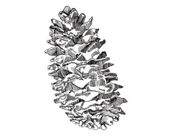 Pinecone
