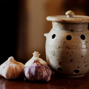 Puede incluir: Un tarro de cerámica para guardar ajos con tapa y tres bulbos de ajo. El tarro está moteado con manchas marrones y blancas y tiene agujeros para la ventilación. Los bulbos de ajo son blancos y morados.