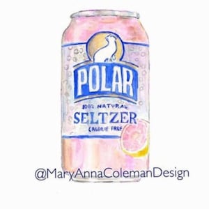 Polar Seltzer Can