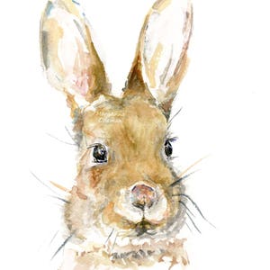 Bunny Portrait