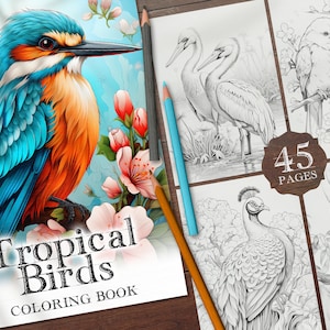 45 Birds of Paradise Digital Coloring Book, Tropical Birds Coloring Pages, Animals Colouring Sheets, Zoo Coloring Page PDF Printable