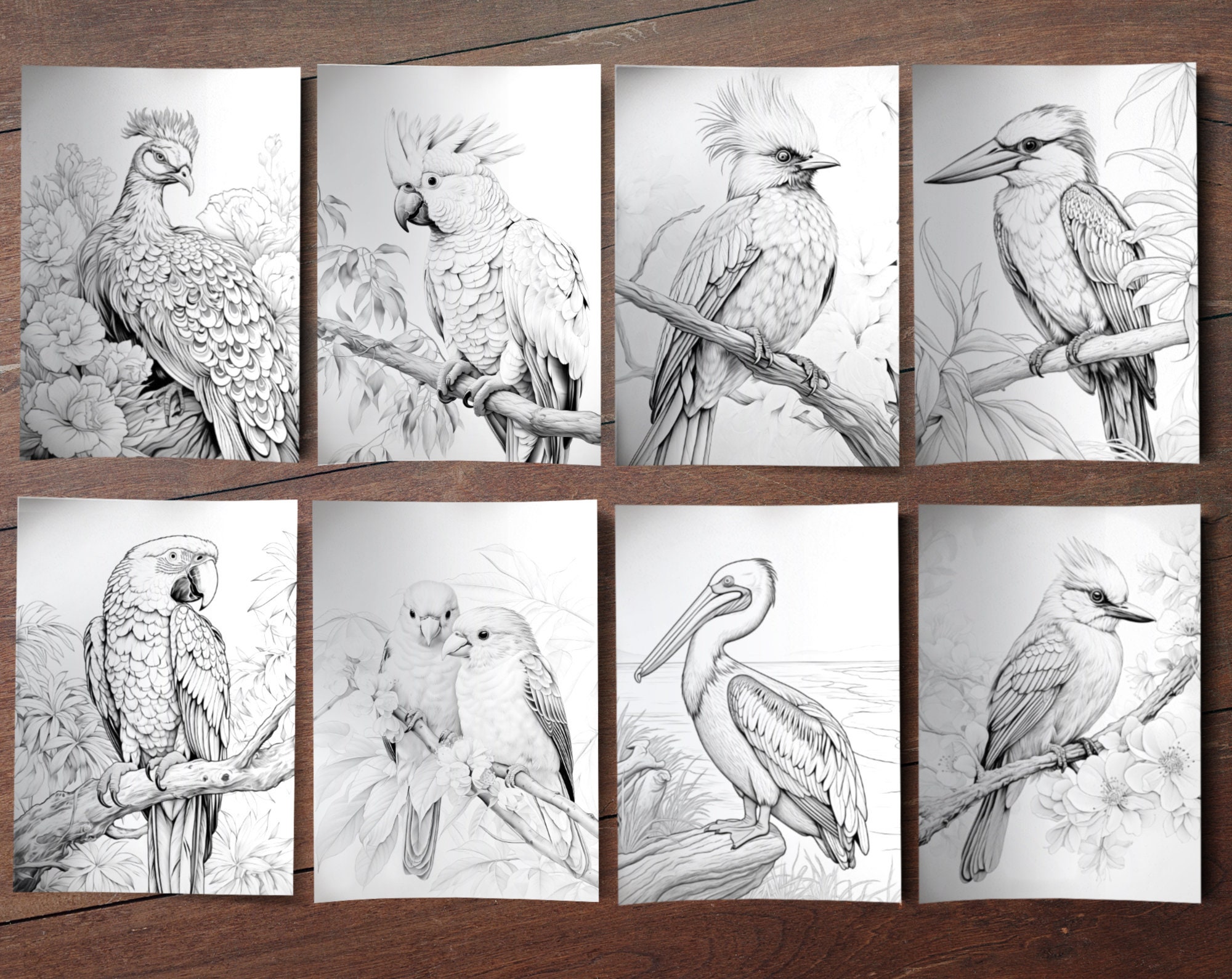 45 Birds of Paradise Digital Coloring Book, Tropical Birds Coloring ...