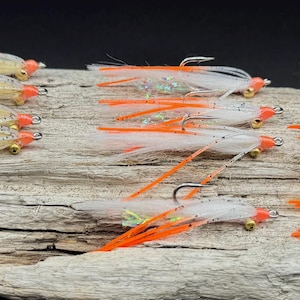 Selezione speciale di Bonefish Andros (misura 2 o 4) 12 mosche Bonefish - Ami Gamakatsu di prima qualità!