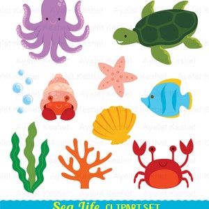 May include: A set of 10 colorful sea life clip art images, including an octopus, turtle, starfish, crab, hermit crab, seashell, fish, seaweed, and coral. The images are perfect for creating invitations, cards, and other crafts.