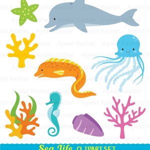 May include: A set of colorful sea life clipart images, including a dolphin, starfish, jellyfish, seahorse, coral, and a moray eel. The images are on a white background and have a cartoon style.