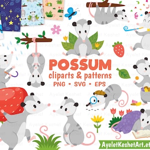 Clipart Possum sertie de papiers numériques. Images clipart animaux mignons en fichiers vectoriels PNG, SVG et EPS. Fichiers numériques, téléchargement immédiat.