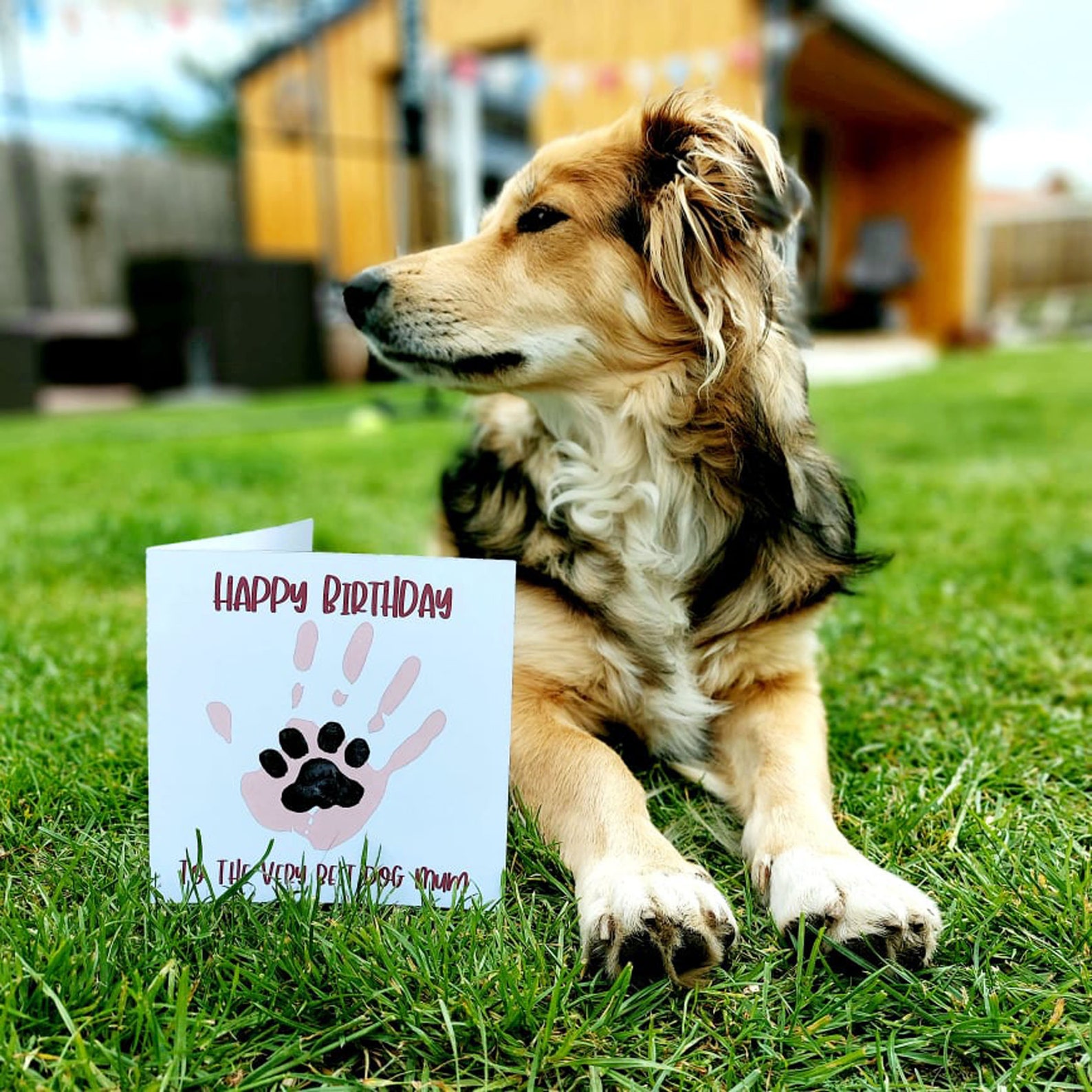 Happy Birthday From the Dog Card. Birthday Dog Mum Card. to - Etsy UK