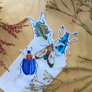 4 stickers insectes pour ordinateur portable
