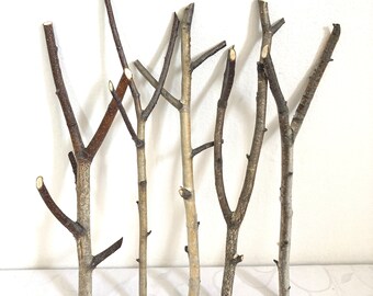 Set of 5 Small Birch Branches 10", Real Forked Dried Birch Branches