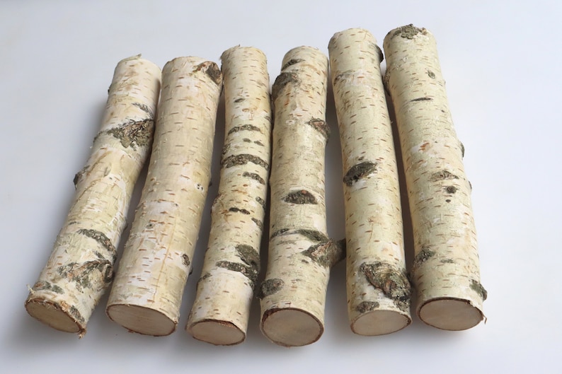 Set of 5 White Birch Stems 7, Natural Birch Logs, Birch Branch Craft image 2