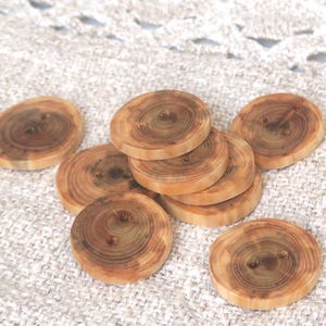 Könnte beinhalten: Eine Sammlung runder, flacher Holzknöpfe mit sichtbarer natürlicher Maserung und konzentrischen Ringen in hellen und dunklen Brauntönen. Jeder Knopf hat zwei kleine Löcher in der Mitte zur Befestigung und zeigt die organische Textur des Holzes.