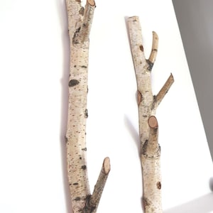 White Birch Branch Wall Hook, Large Rustic Wooden Decorative Wall Hook