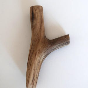Puede incluir: Una pieza de madera natural en forma de Y con una superficie lisa y pulida. La madera presenta un color marr&oacute;n claro con vetas de color marr&oacute;n m&aacute;s oscuro que recorren verticalmente la rama, mostrando un nudo y textura distintivos.