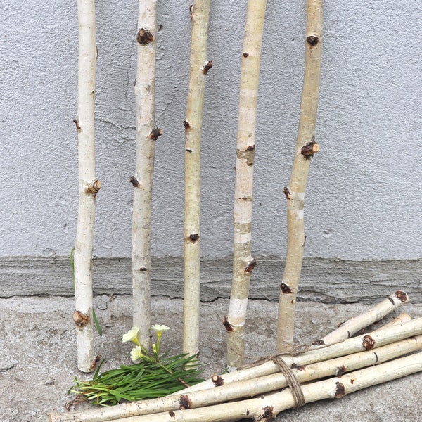 Set of 5 Birch Branches 14", White Birch Sticks, Natural Decor