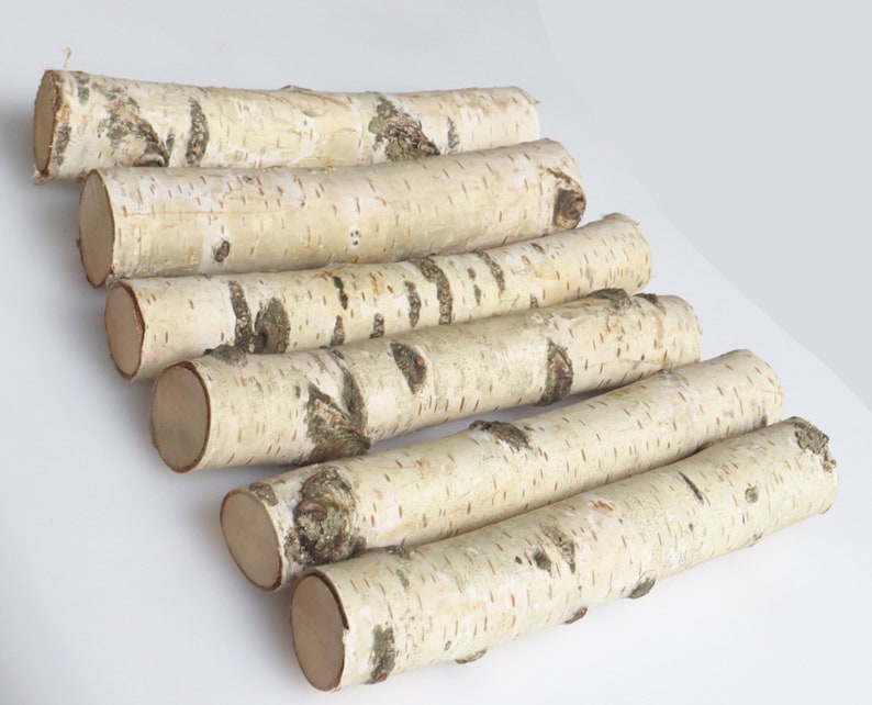 Set of 5 White Birch Stems 7, Natural Birch Logs, Birch Branch Craft image 1