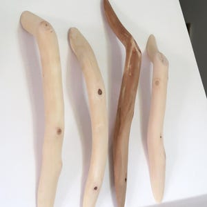 May include: Four wooden decorative pieces in shades of light brown. The pieces are curved and have a natural, organic shape. One piece is a darker brown, while the others are a lighter, natural wood colour. Each piece has a unique knot or grain pattern.