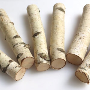 Set of 5 White Birch Stems 7, Natural Birch Logs, Birch Branch Craft image 4