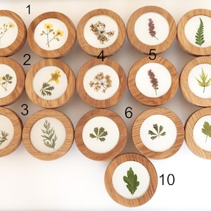Op de afbeelding: Tien ronde houten onderzetters met geperste bloemen en bladeren erin. De onderzetters zijn genummerd van 1 tot en met 10.