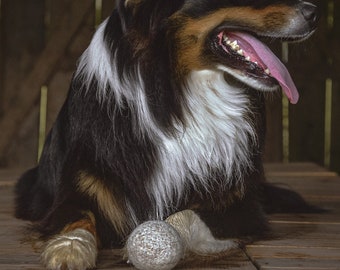 Felted wool ball for dogs - very durable organic wool dog toy