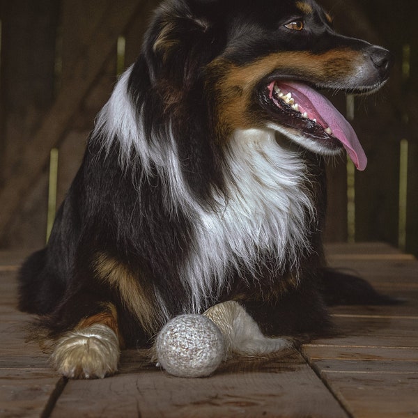 Felted Wool Dog Toy Etsy