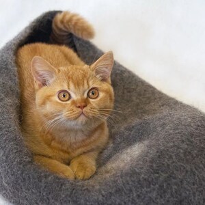 May include: A ginger tabby cat with green eyes sits in a grey, fuzzy cat bed. The cat is looking directly at the camera.