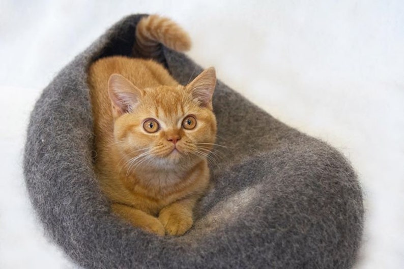 May include: A ginger tabby cat with green eyes sits in a grey, fuzzy cat bed. The cat is looking directly at the camera.