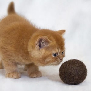 Felt Organic Catnip Ball Toy Brown set of 3 Heavy duty - felted ball - felt ball