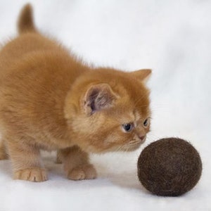 Felt Organic Catnip Ball Toy Brown set of 3 Heavy duty felted ball felt ball image 1