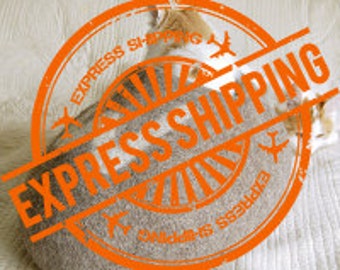 Express shipping