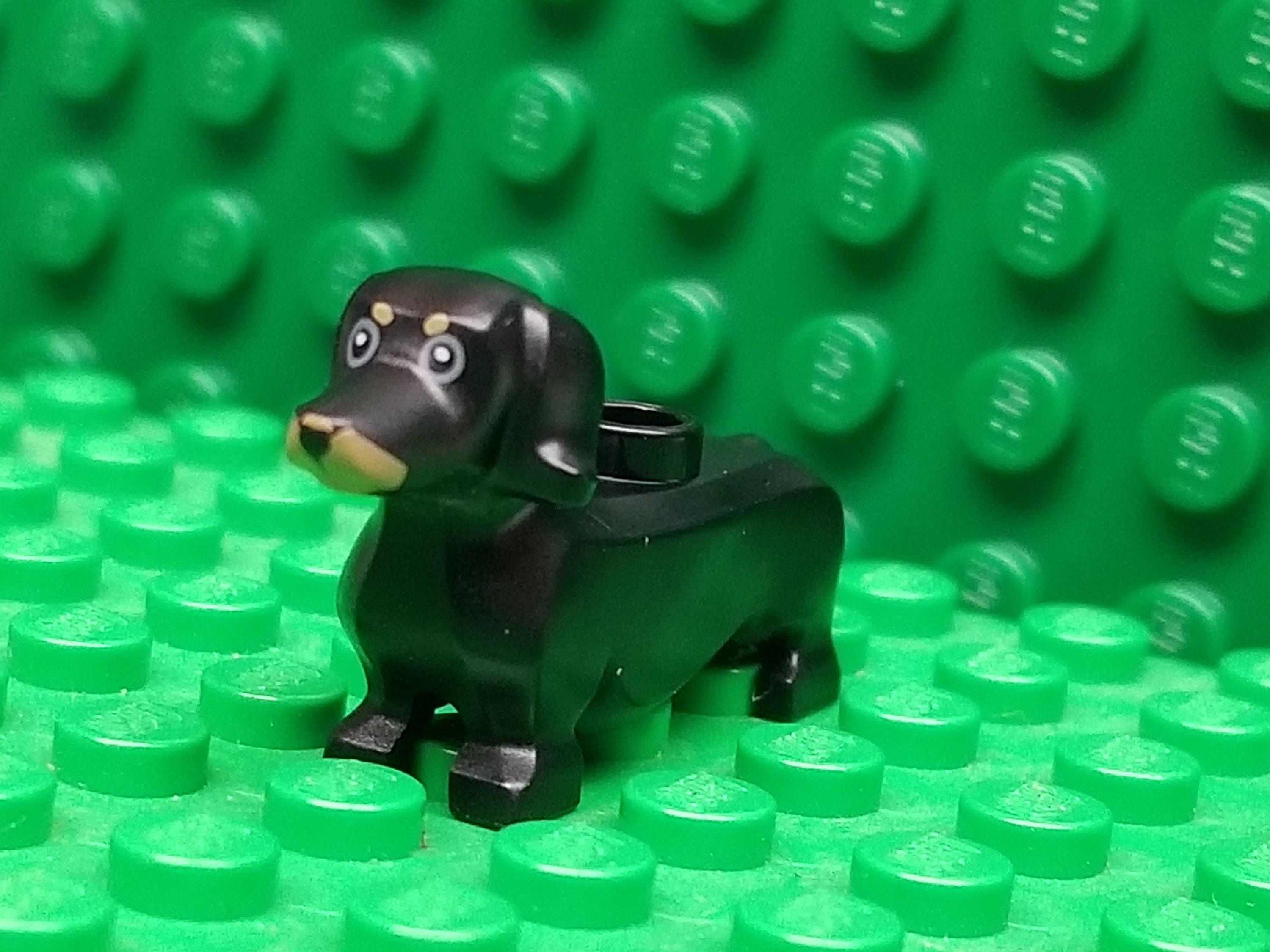 Dachshund  Lego animals, Legos, Lego projects
