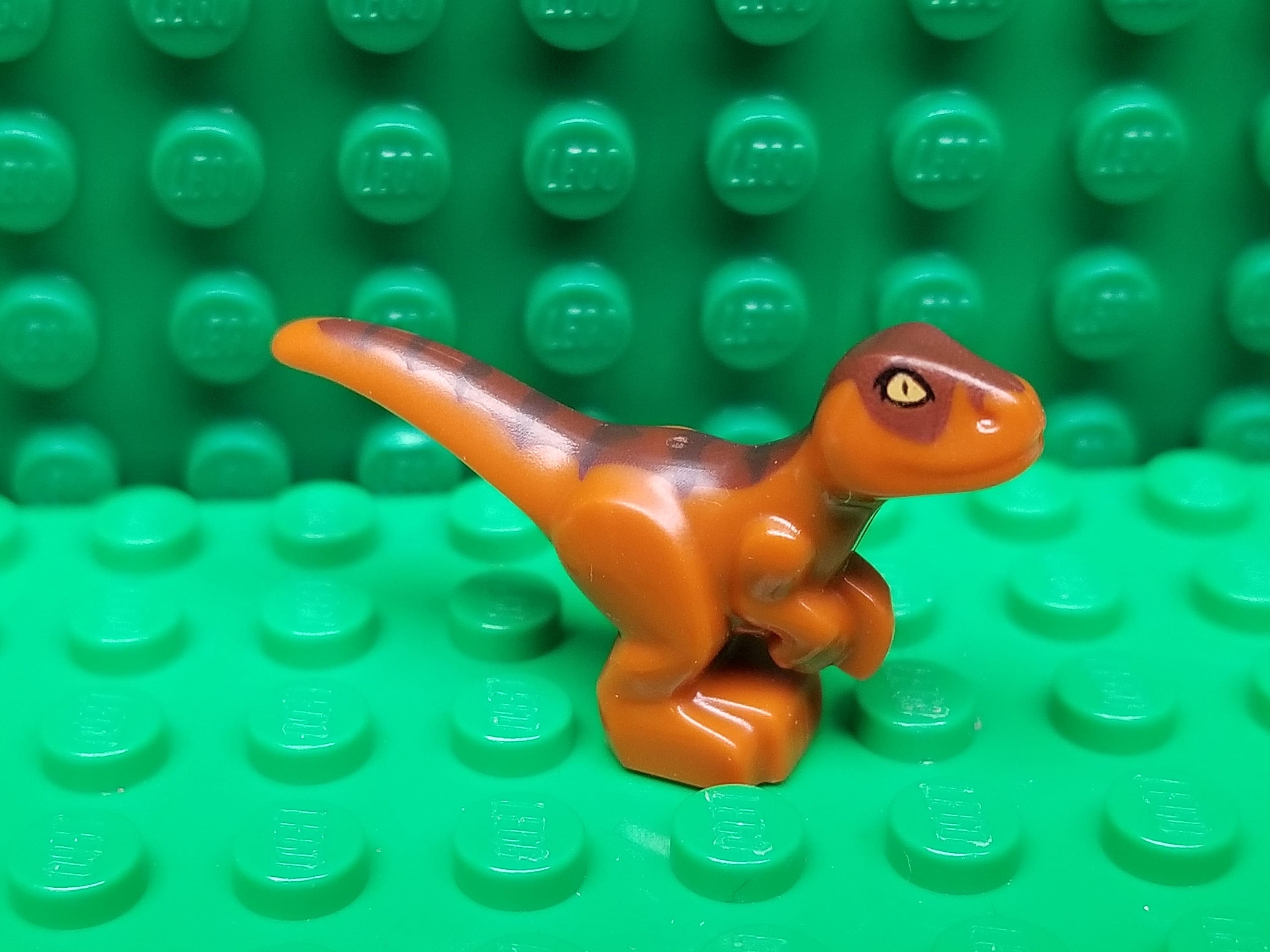 LEGO® Animals Dinosaur Jurassic World Baby Raptor, Minifigure, Minifig ...