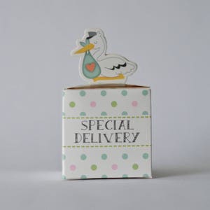 Caja de regalo para baby shower con entrega especial de cigüeña