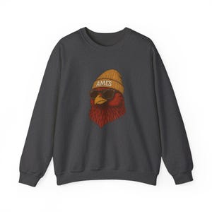 Ames Crewneck Sweatshirt, Vintage City Pride Shirt, College Town Graphic Shirt by GameDay Ink image 5