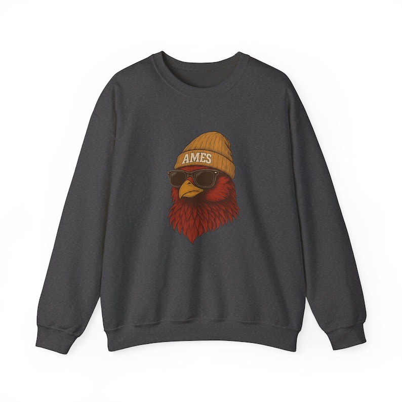 Ames Crewneck Sweatshirt, Vintage City Pride Shirt, College Town Graphic Shirt by GameDay Ink image 5
