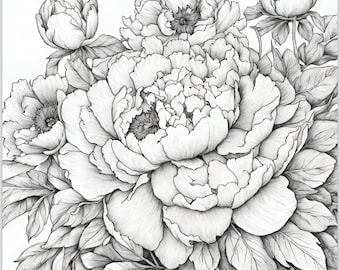 Floral Coloring Pages