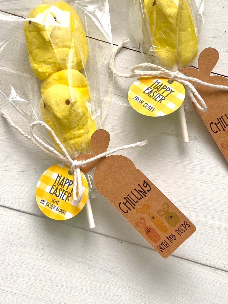 Easter Party Favors, Easter Basket Stuffers, Personalized Easter Treat Bags, Easter Gift Tags image 4