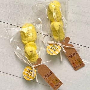 Easter Party Favors, Easter Basket Stuffers, Personalized Easter Treat Bags, Easter Gift Tags image 10