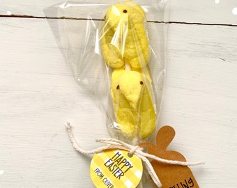 Easter Party Favors, Easter Basket Stuffers, Personalized Easter Treat Bags, Easter Gift Tags