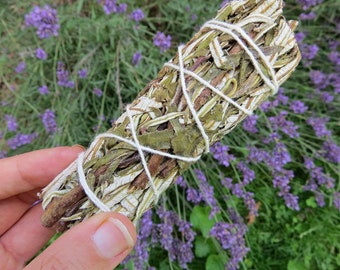 Yerba Santa Smudge Stick 4" - Herbe sacrée - Encens naturel - Petit paquet Yerba Santa - Nettoyage énergétique - Protection - Aromathérapie