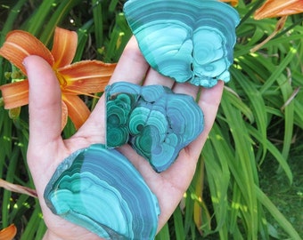 May include: Three pieces of polished malachite, each with a unique swirling pattern of green and blue. The malachite is a natural stone with a smooth, polished surface.