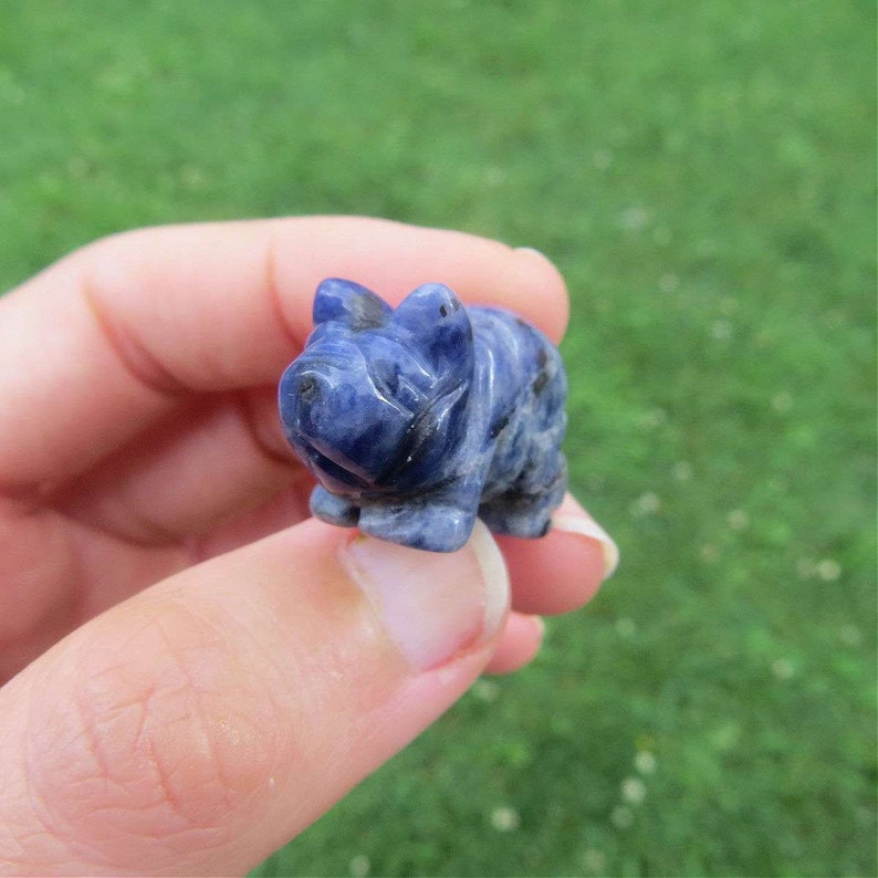 Mini Crystal Pig Figurine 1 Carved Stone Animal Carving Pig Gift Stone Pig Crystal Animal Pig Decor image 5