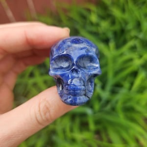 Sodalite Crystal Skull Figurine 1.5&quot; - Carved Stone Skull - Small Crystal Skull Carving - Halloween Skull Decor - Blue Skull Gift