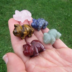 Mini Crystal Pig Figurine 1 Carved Stone Animal Carving Pig Gift Stone Pig Crystal Animal Pig Decor image 2