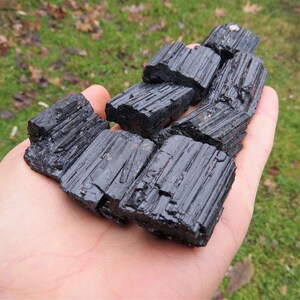 Puede incluir: Un pu&ntilde;ado de cristales de turmalina negra en bruto. Los cristales son rectangulares con estr&iacute;as visibles y un brillo brillante. El fondo est&aacute; borroso, mostrando hierba verde y follaje.