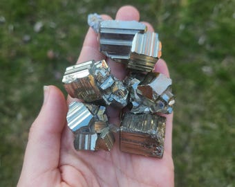 May include: A collection of six raw pyrite crystals, also known as fool's gold, in various sizes and shapes. The crystals are a metallic gold color with a slight iridescent sheen.