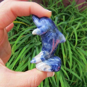 Sodalite Crystal Dolphin Figurine 2.5&quot; - Carved Crystal Animal Stone - Dolphin Gift - Dolphin Decor